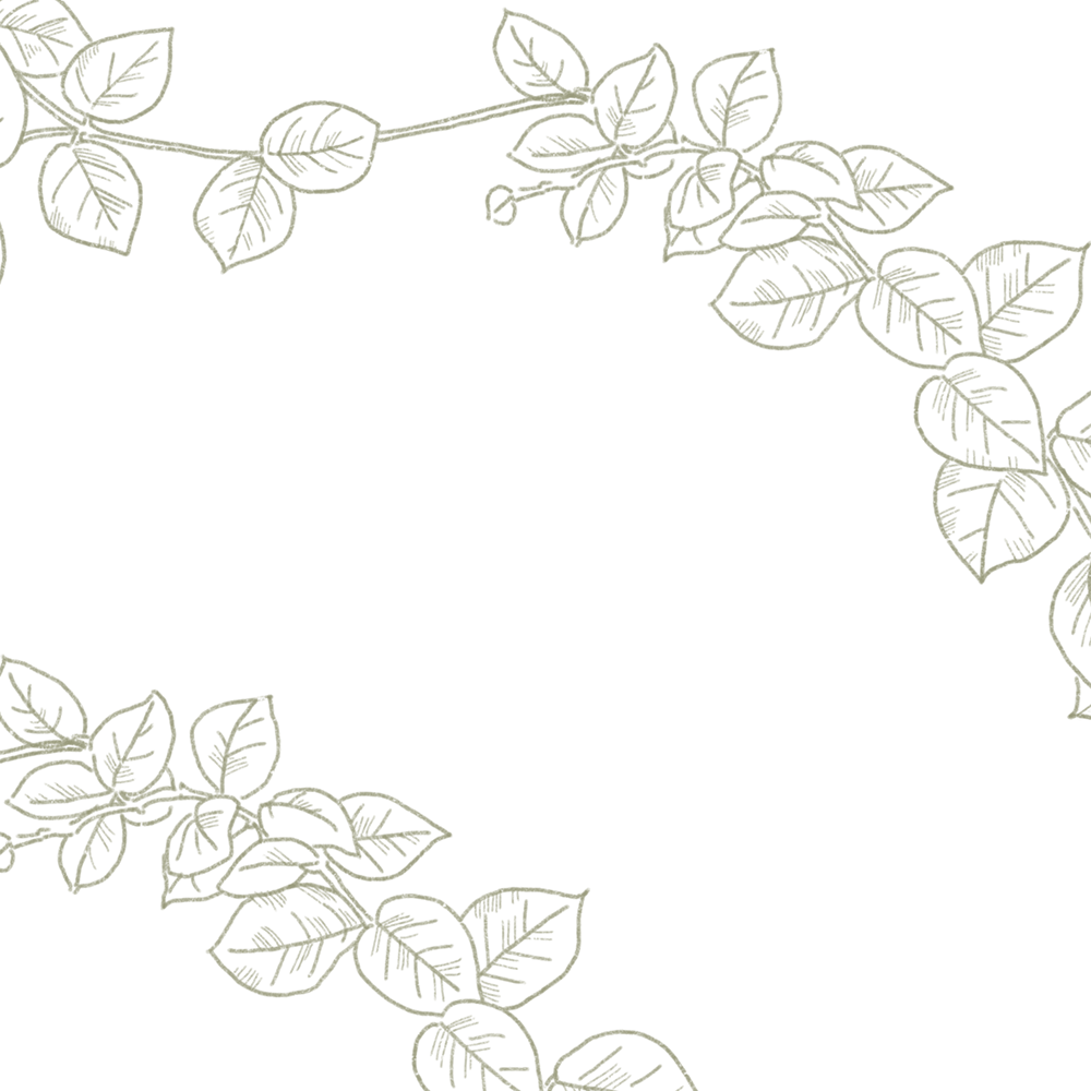 Sample Gallery